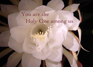 Psalm 96 Music